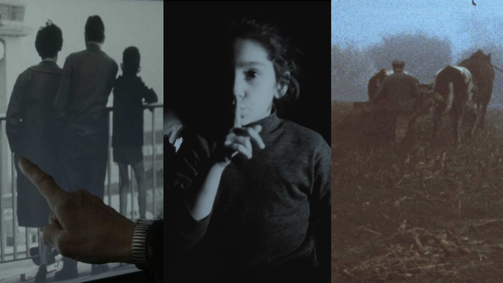 Affiche de l'article : Super Seven au coeur du doc #2 (FEMA 2025)