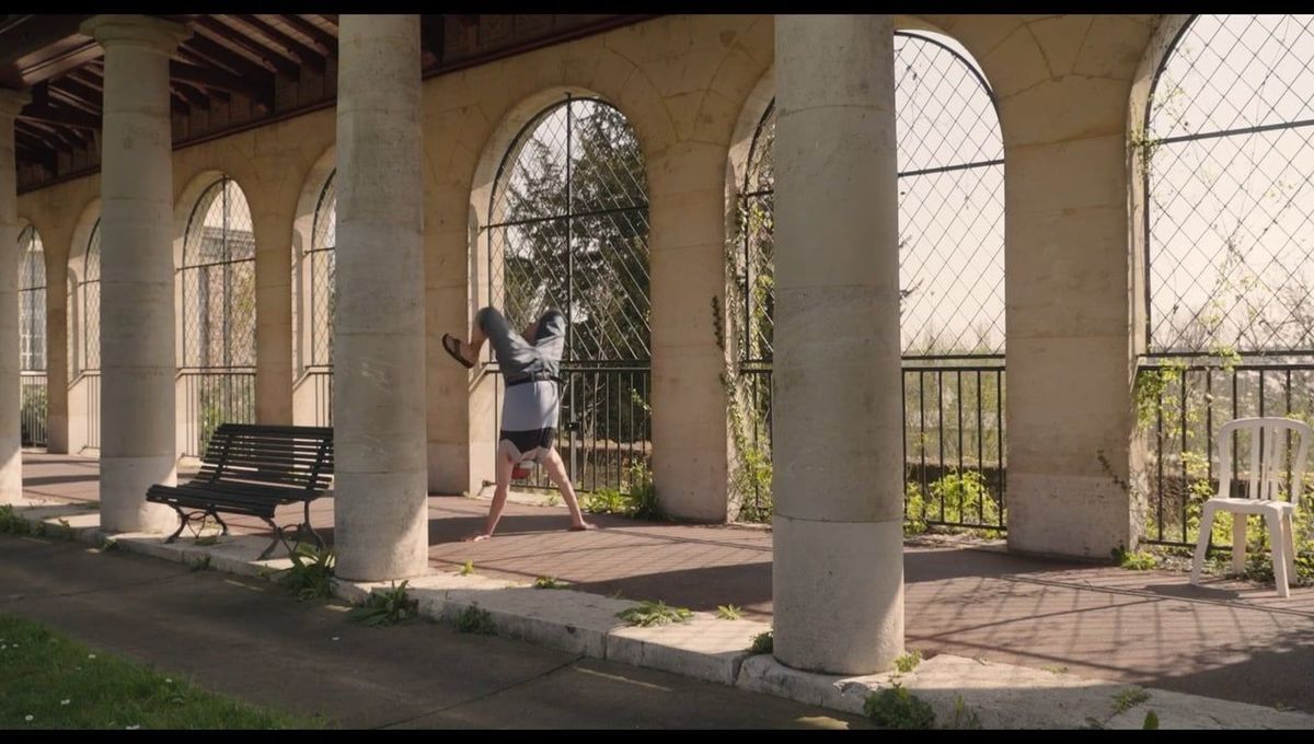 Affiche de l'article : Nicolas Philibert, faiseur de monde