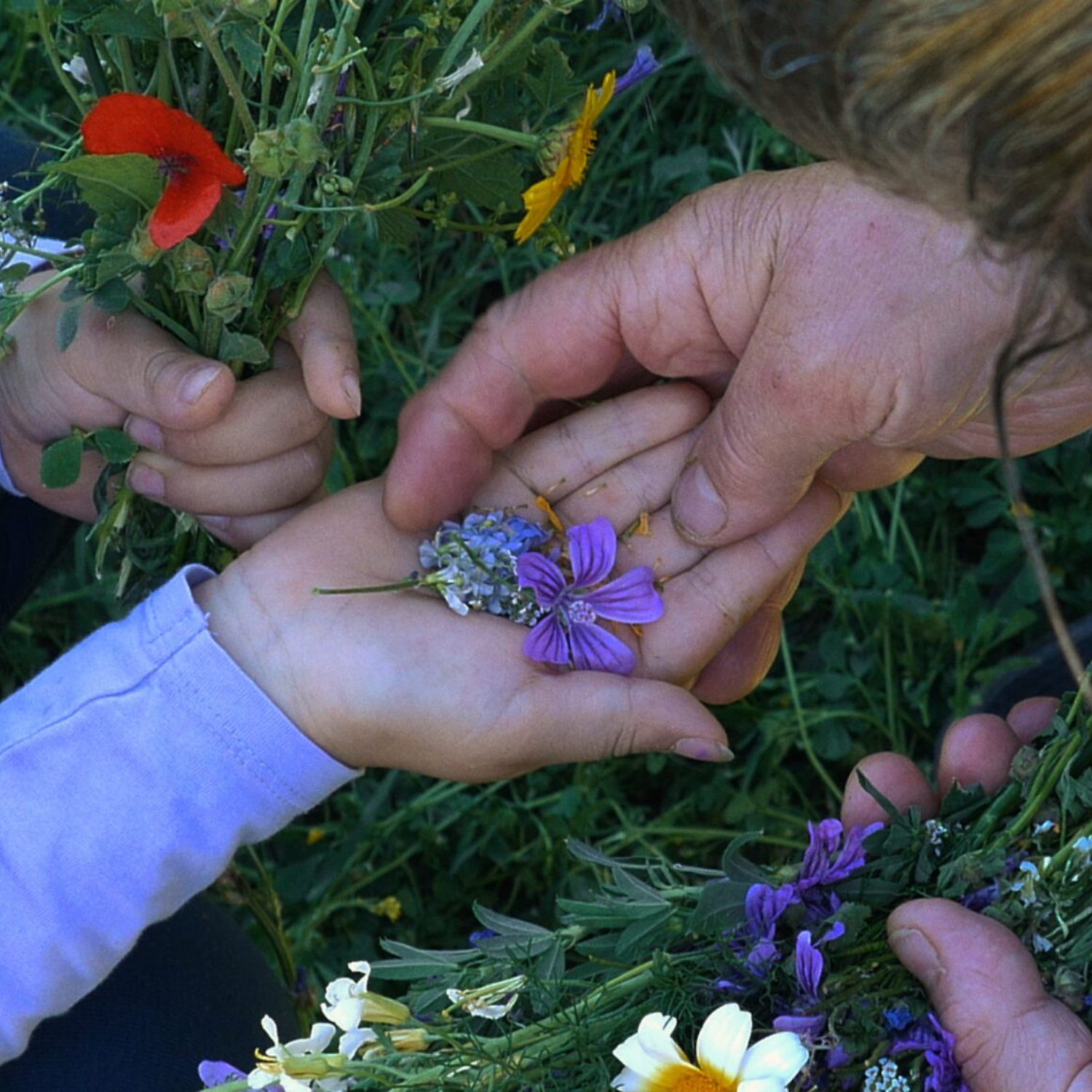 Photo de la personne interviewé